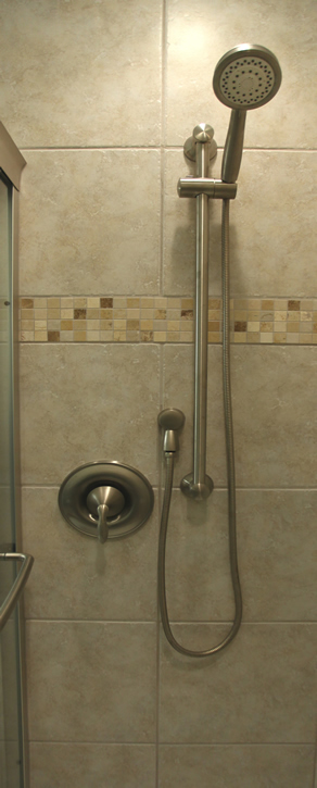 moen shower rod handheld